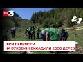 Віддячити місцевим: на Буковині переселенці висадили дві тисячі дерев