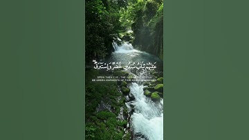 #اللهم_صل_وسلم_على_نبينا_محمد #اكسبلور #سبحان_الله #راحة_نفسية #سورة #ترند #قرآن #قران_كريم #تيك_توك