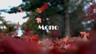 Masteri - Mono (Vici Rom Shen)