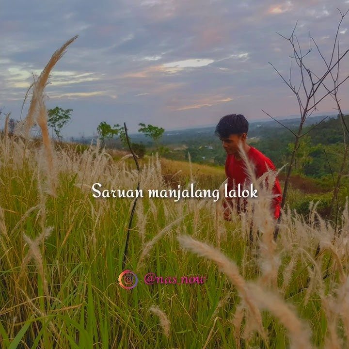 STORY WA MINANG - MANANGIH LALANG DI GURUN