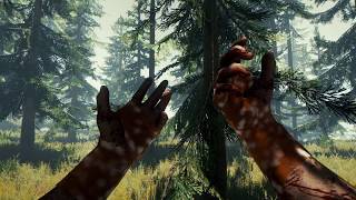The Forest PS5