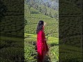 kerala munnar..#fun #naturalbeauty