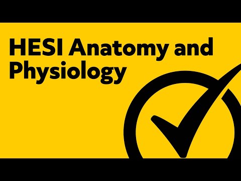 hesi-anatomy-and-physiology-(study-guide)
