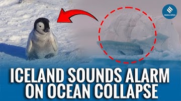Modern Ice Age? Iceland WARNS Of Ocean System Breakdown, Declares Potential Collapse Of AMOC