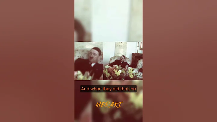 Joe Rogan on Hilter Doing Drugs #joerogan #shorts #history