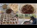 حلوای سمنک غذای محّلی افغانستان|| Halwa Samank Hazargi traditional food