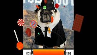 Fun Pug Greeting Cards from NobleWorks