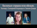 Насколько страшна оспа обезьян. Разговор с Екатериной Котрикадзе и Тихоном Дзядко