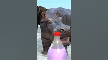 Long Slide Game With Cow Elephant Gorilla Hippopotamus Tiger Funny 3d Cartoon Animals 3d Animal Game