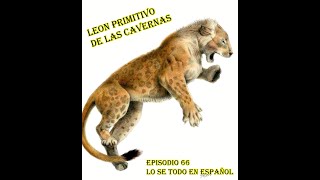 León Primitivo de las Cavernas (Panthera Leo Fossilis) - Lo se todo en Español