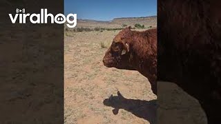 Earl Has Better Things To Do Viralhog