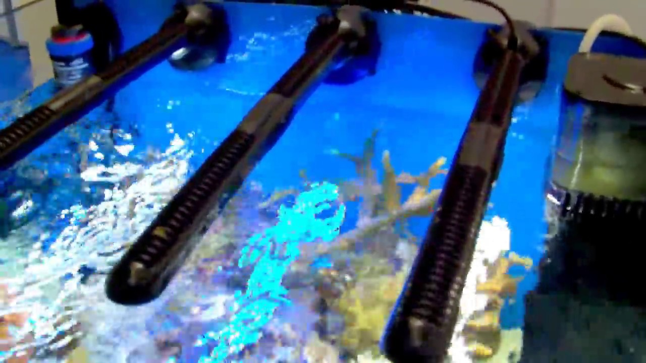 3x tunze led doc skimmer in nano tank at interzoo 2012 youtube