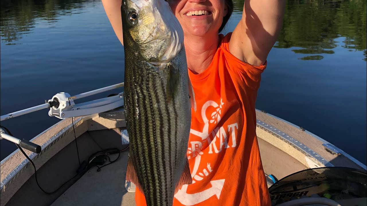 Striper, catfishing Delaware River 6/4/21 YouTube