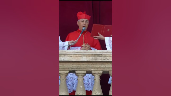 🗣️ Así ha sido el anuncio: el cardenal Robert Prevost será el papa León XIV