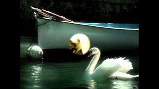 bonde do forró fui clonada