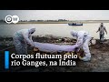Em meio à catástrofe da covid na Índia, corpos flutuam no rio Ganges