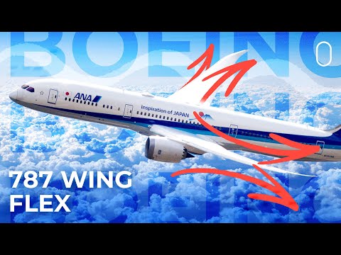 How Much Can Boeing 787 Wings Flex?