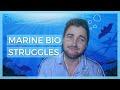 8 Things you should consider before pursuing Marine Biology // Life as an Academic