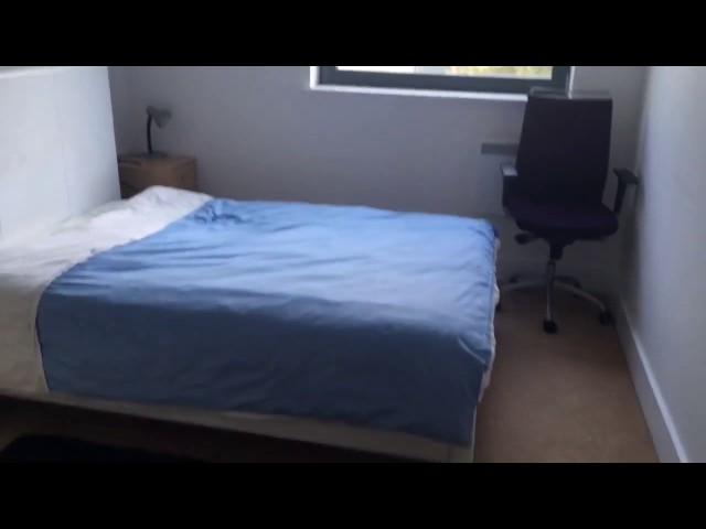 Video 1: