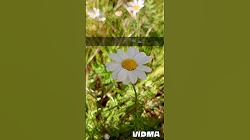 قران كريم اجمل صوت  أرح سمعك وقلبك راحه نفسيه#قرآن أرح سمعك وقلبك#quran #quranhearts