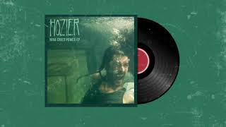 hozier - moment’s silence (common tongue) [slowed]
