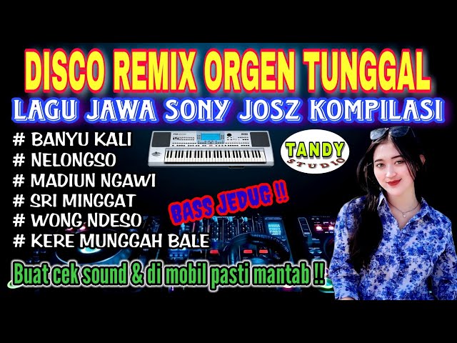 DISCO REMIX ORGEN TUNGGAL TANDY STUDIO ❗ LAGU JAWA SONY JOSZ  KOMPILASI❗Madiun ngawi, Sri minggat, class=