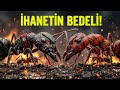 Karınca Dünyasının En Büyük İhaneti: Kızıl Hisar Kuşatması!