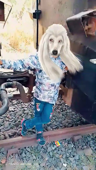 Teri banjaran 🎃🐥🌳🥵#funny #shorts #rdafunnyvideo