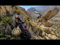 🥚🐦 Saving Wild Bird Eggs | New Life in the Zagros Mountains 🏔️