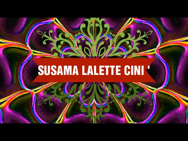 SUSAMA LALETTE CINI (480) Rahmi Hatta class=