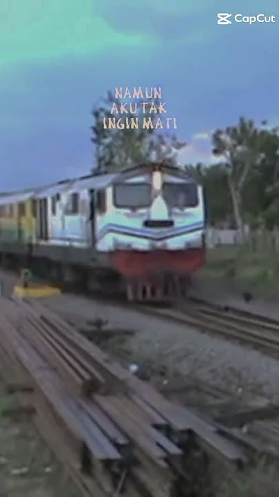 KA PROBOWANGI 2012 (aku yang malang 4)