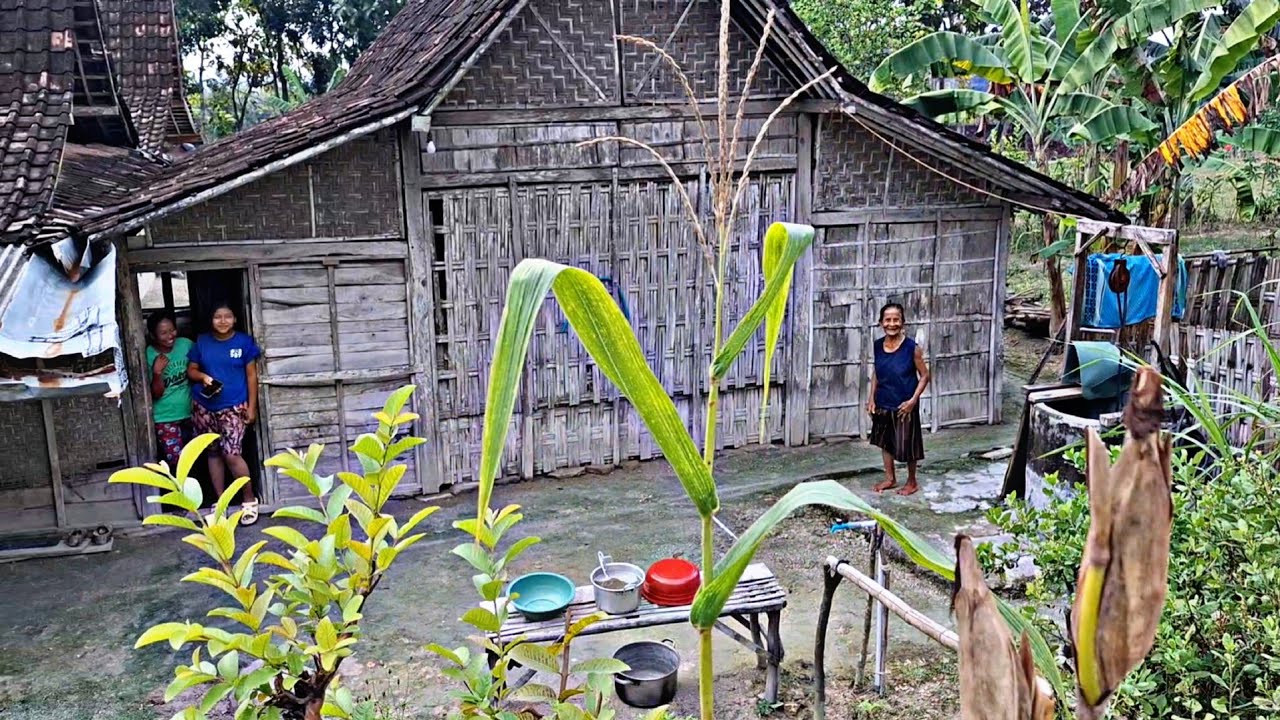 Rumah Di Desa‼️Beginillah Potret Perkampungan Khas Jawa th70an,Jalan Masih Tanah,Rumah Berjauhan😭😭