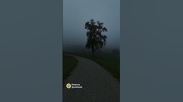 Thumbnail of Which road will you walk alone in?