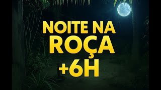 Noite na Roça – Som de Grilos e Natureza para Dormir