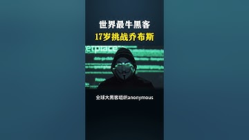 17岁就成为世界顶尖黑客是一种什么体验？#黑客 #网络安全 #熱門 #计算机 #互联网 #hacker #computer #chatgpt #cybersecurity