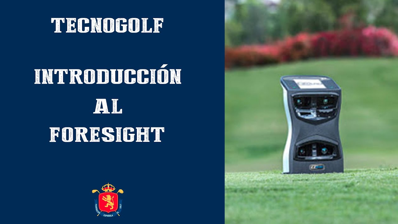 ¿QUÉ ES EL FORESIGHT?