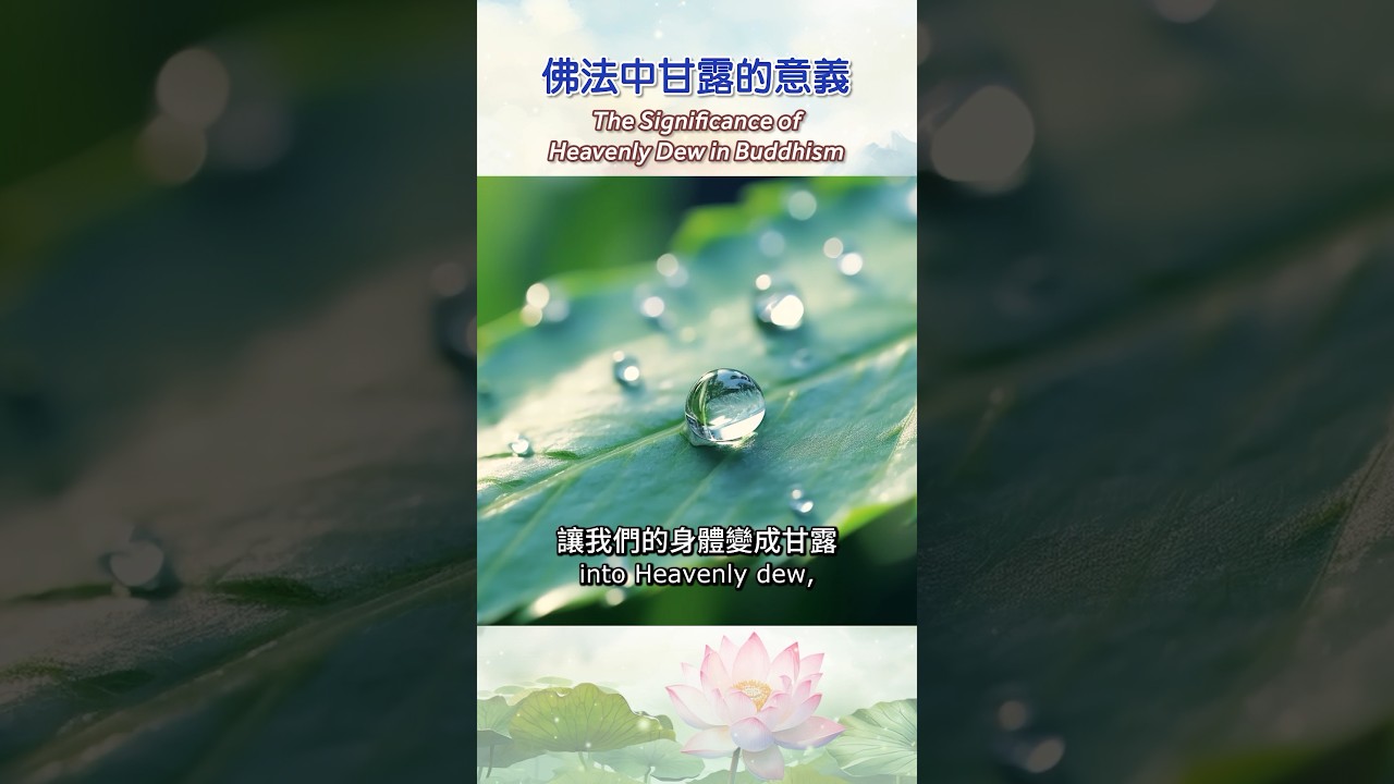 Learn about the profound importance and benefits of Heavenly Dew. #Pure #Untainted #Compassion