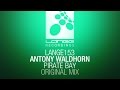 Antony waldhorn  pirate bay original mix out now