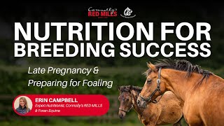 Nutrition for Breeding Success: Late Gestation & Preparing for Breeding