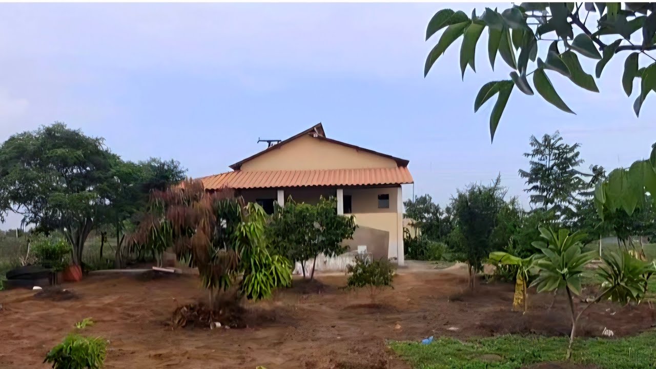 Sítio olho d, água veja como estar  á vegetação depois das chuvas🌵🌳