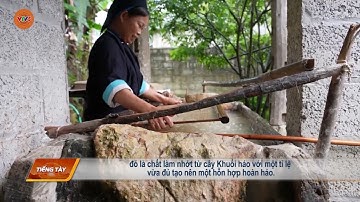 [TIẾNG TÀY] KỸ THUẬT LÀM GIẤY BẢN CỦA NGƯỜI NÙNG AN | VTV5