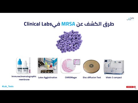 فيديو: كيف يتم اختبار MRSA؟