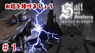 【Salt and Sanctuary #1】塩でお清めしたい黒歴史。【初見プレイ】