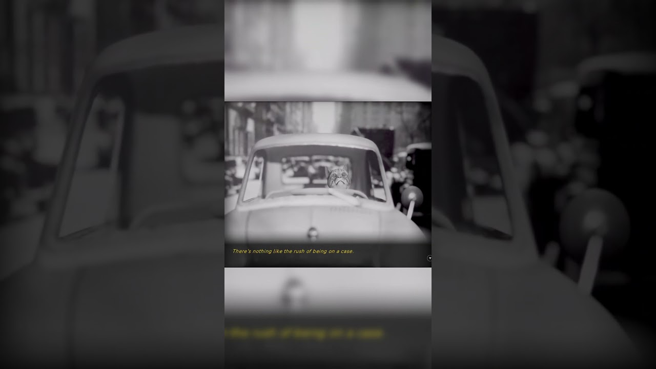 The Rush Of Being On A Case | Cat Detective Albert Wilde