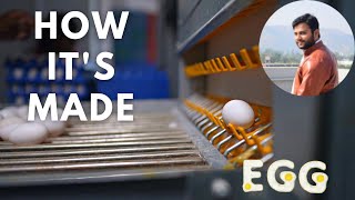 Factory में अंडा बनते देखिए !! You will be surprised 😮!! How It's Made : Egg !!