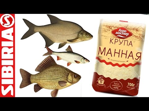 как правильно варить манку для рыбалки на леща