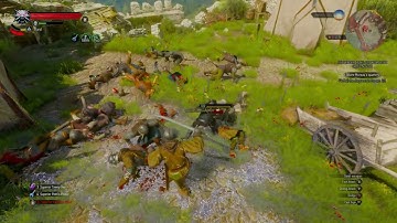 The Witcher 3 Deathmarch - Mont Crane Castle Hanse Base No Damage No Quen NG+