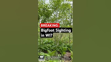 🤯 Bigfoot Encounter: "I Wasn