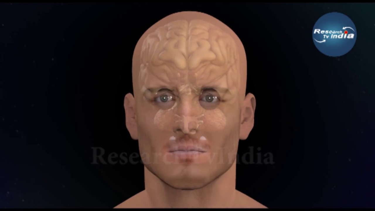 अगर इंसान ने अंतरिक्ष में जन्म लिया तो वो कैसा होगा| What happens if a baby is born in outer space? haunted road movie