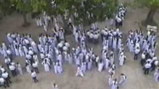 AVSEQ02.wmv